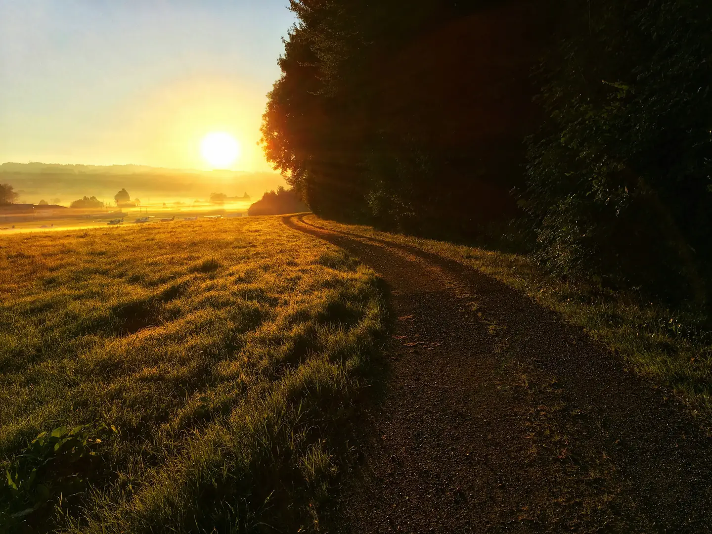 Sunrise over a meadow, a dirt track curving away beside dark trees.