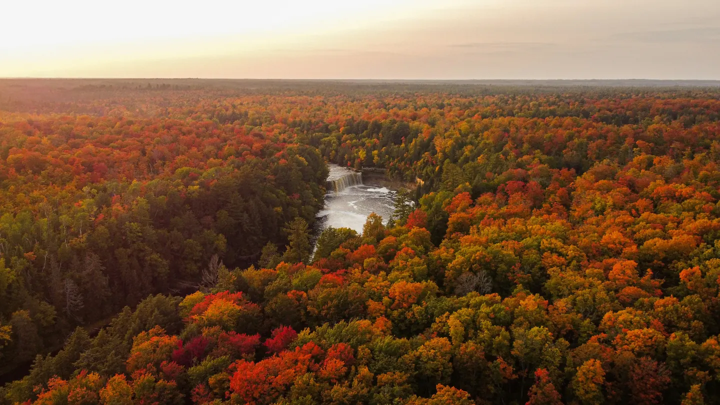 Aerial view of autumn forest in red and orange, a waterfall at the centre.