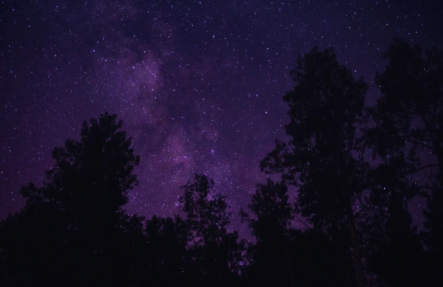 The Milky Way in a violet night sky above silhouetted trees.